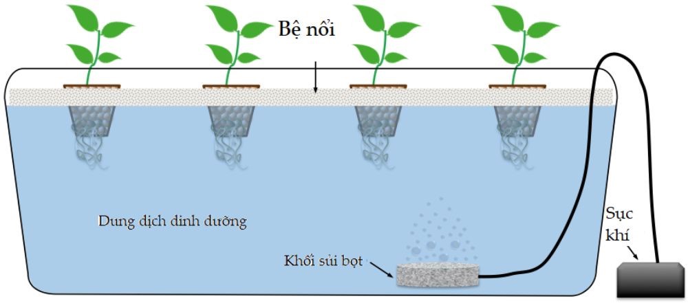 Mô hình Media Bed (Hydroton hoặc Gravel Bed)